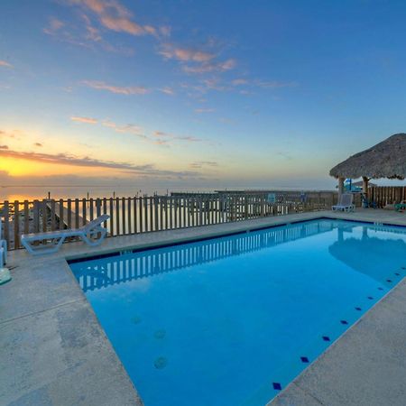 The Pintail By Avantstay Modern Chic Near Ocean Corpus Christi Eksteriør billede