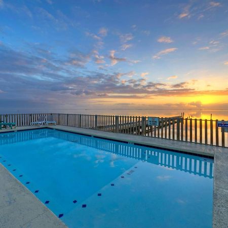 The Pintail By Avantstay Modern Chic Near Ocean Corpus Christi Eksteriør billede